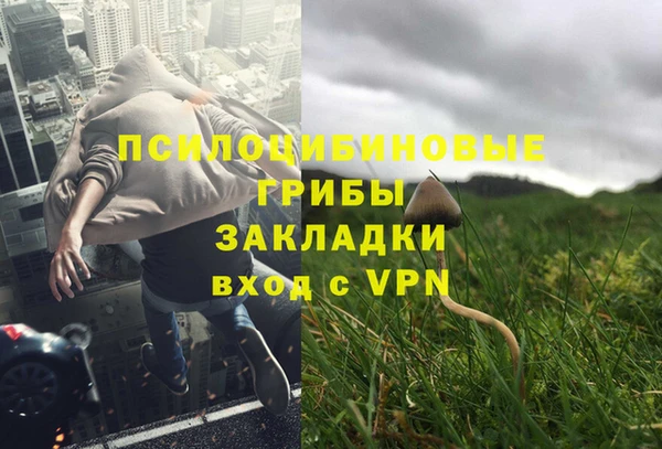 ECSTASY Володарск