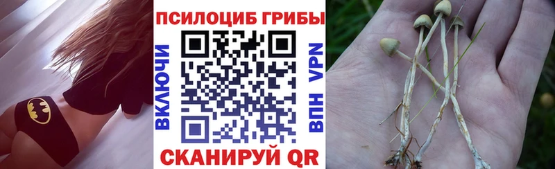 Галлюциногенные грибы Magic Shrooms  Выкса 